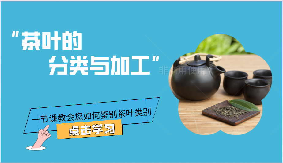 茶叶的分类与加工